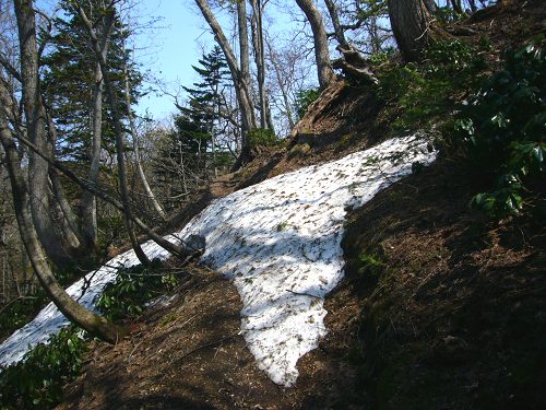 まだ雪の残る登山道
