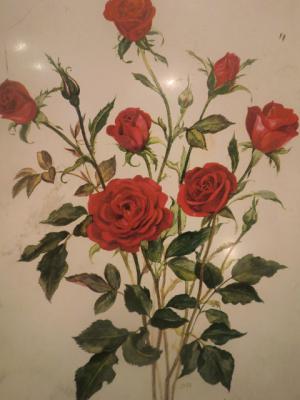 Rose tincan