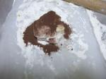クッキー生地にココアの粉をぶっかけちゃったー。