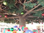 東京ディズニーランド・クリスマスツリーの下から見た画像。枝ぶり。