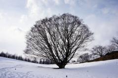 2012012101.jpg