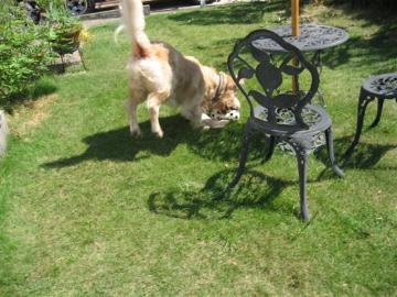 IMG_5122 (Small)