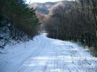 CIMG0543 (Small)