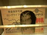20080513224228