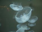 20050816093833.jpg