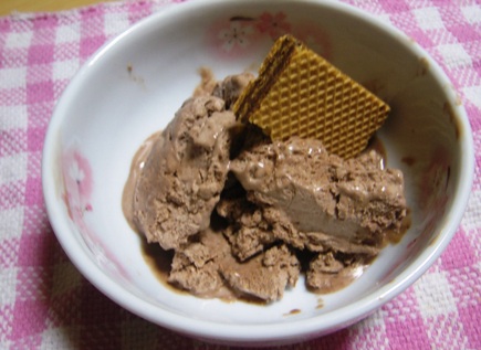 チョコレートアイス