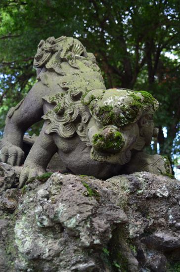 相原諏訪神社の狛犬（左）