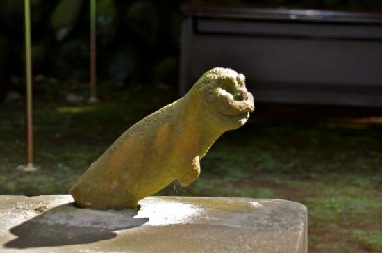 八王子みなみ野の熊野神社の狛犬3