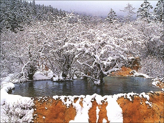 四川の冬