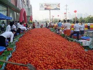 大量のトマト