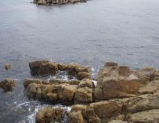 ワカメ岩