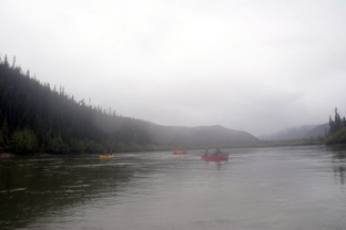 IMG_1019.jpg