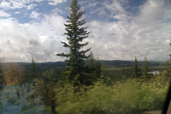 IMG_1561.jpg
