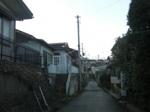 SANY0236.jpg