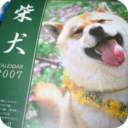 柴犬カレンダー