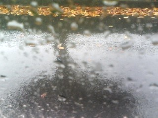 秋雨