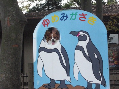 夢見ｹ崎動物公園で