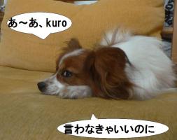 P1590414f.jpg