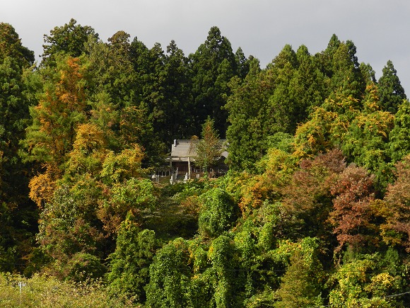 熊野神社【遠景】