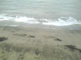 砂浜に残した足跡