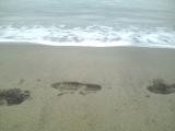 砂浜に残す足跡