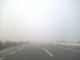 １２月１日濃い霧のバイパス