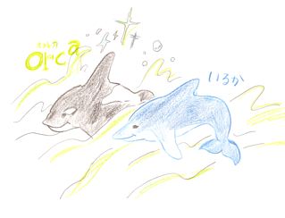 orca5